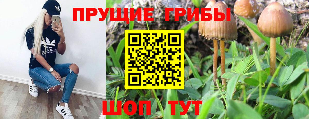 Псилоцибиновые грибы GOLDEN TEACHER Тулун