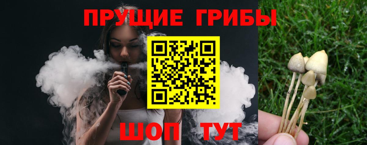 Тулун  Псилоцибиновые грибы Psilocybe  Вход с VPN 